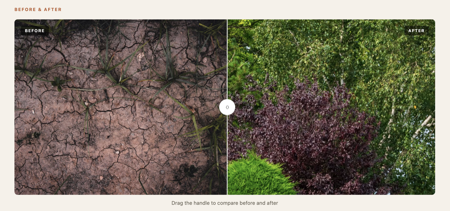 Before/after drag slider — Noe Valley project
