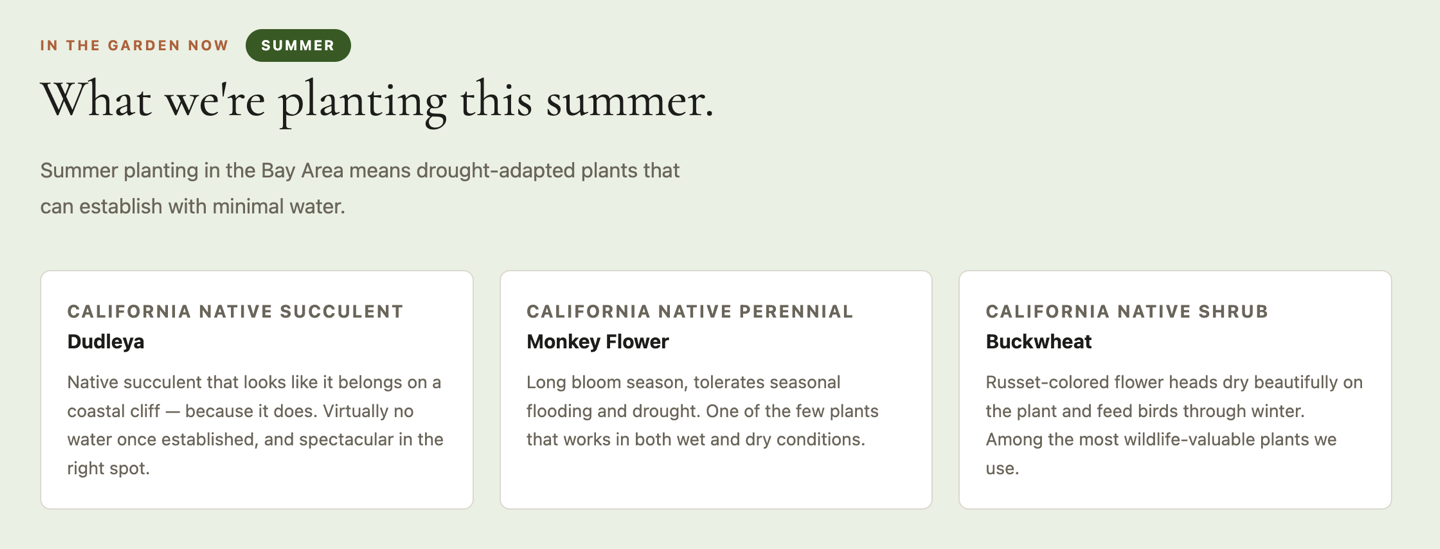 Seasonal planting recommendations — auto-updating